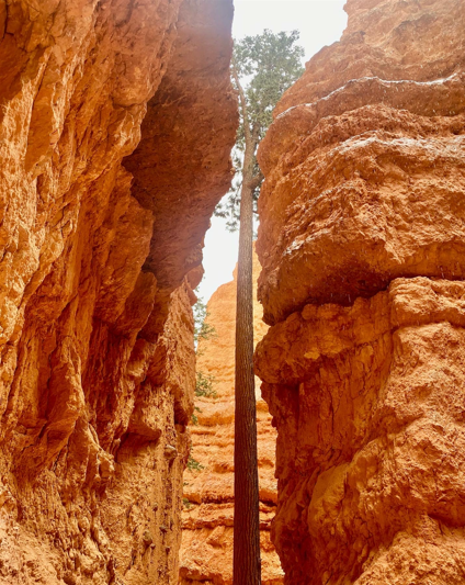 bryce canyon national park