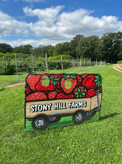 stony hill farms